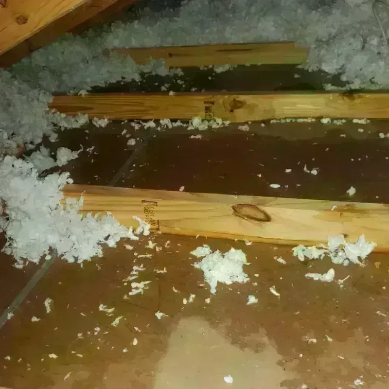 Attic Water Damage in Woodbine, IA