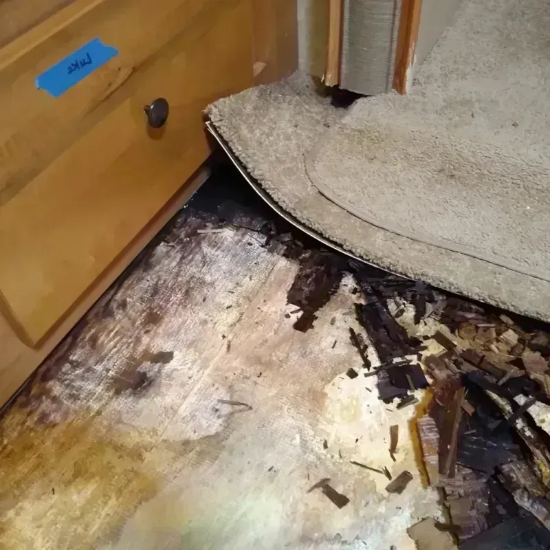 Wood Floor Water Damage in Woodbine, IA